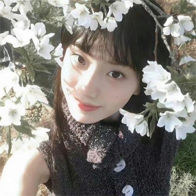 机器肉鸡第六季